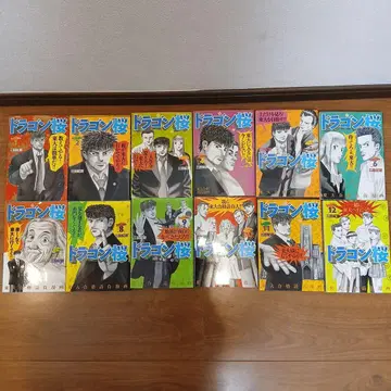 드래곤 사쿠라 드래곤 사쿠라 1~12권 미타 노리후사