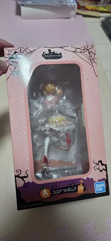 주문토끼 코코아