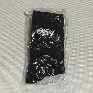 BUMP OF CHICKEN HOMESICK EISEI 삭스