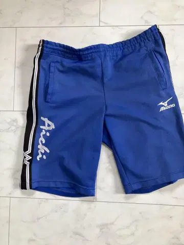 아이치현 전국체전 숏팬츠 M MIZUNO
