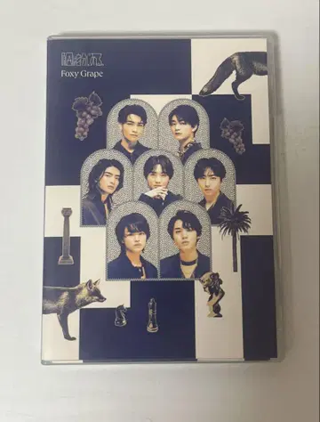 원인은 자신에게 있다. Foxy Grape 관측소 한정판