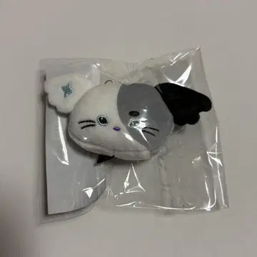 Xdinary Heroes FACE KEYRING 종수
