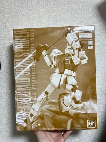MG 1/100 짐 II 세미 스트라이커