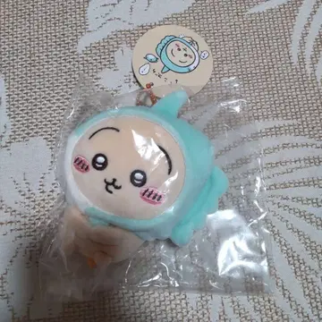 치이카와 수족관 개복치 들고 있어요 마스코트 토끼