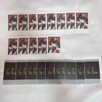 니지산지 EN 1st Anniversary 복스 아쿠마 카드 23점
