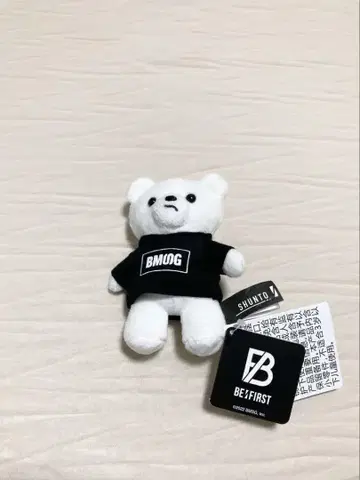 [ 익명 배송 ] SHUNTO 곰 BE:FIRST