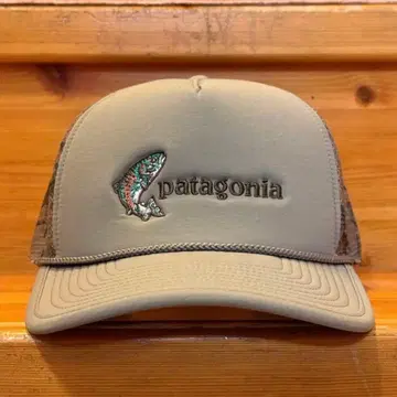 Patagonia 메쉬 캡 브로드 캐스터