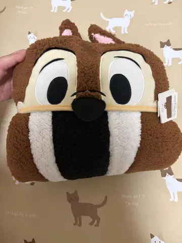 칩 담요 도쿄 디즈니 리조트