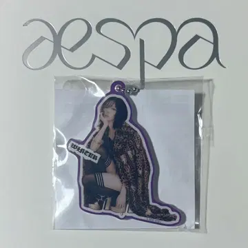 aespa 윈터 아크릴 키링