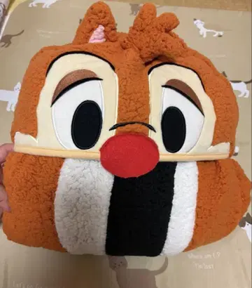 도쿄 디즈니랜드 데일 담요 대형
