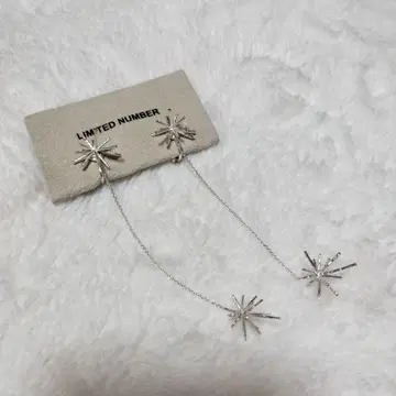 LIMITED NUMBER 브라이트 스타 귀찌