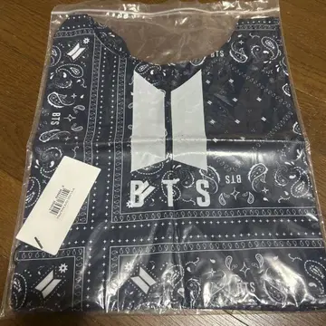 BTS 에코백 페이즐리