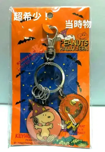 초레어! 스누피 & 우드스탁 할로윈 키링 레트로 미개봉