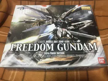 건담 SEED MG 프리덤 건담 엑스트라 피니시
