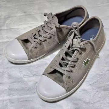 Lacoste 라코스테 그레이 스니커즈 새상품급