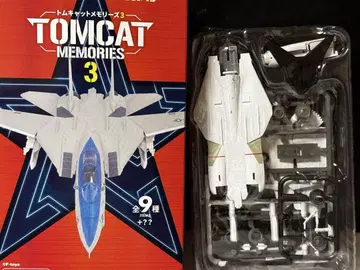 톰캣 메모리즈 3 F-14D 시크릿 슈퍼 톰캣