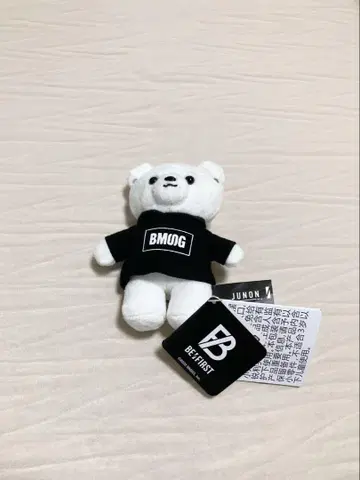 [ 익명 배송 ] JUNON 곰 BE:FIRST