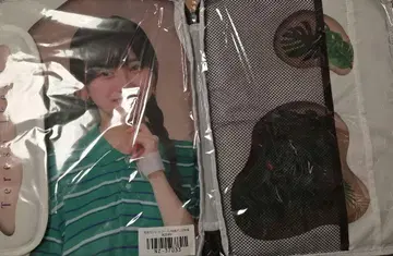 이케다 에이사 가젯 케이스