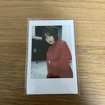 왕린 폴라로이드