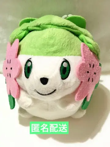 포켓몬 쉐이미 봉제 인형