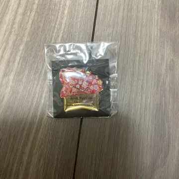 미개봉 새상품 이이다 그룹 핀 배지