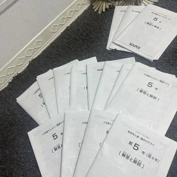 Sapix 테스트 원본