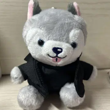 마츠무라 호쿠토 노키도아 토리켄