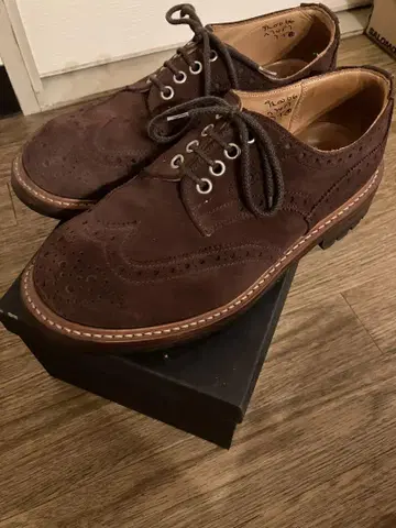quilp Burgundy Suede Derby Brogue