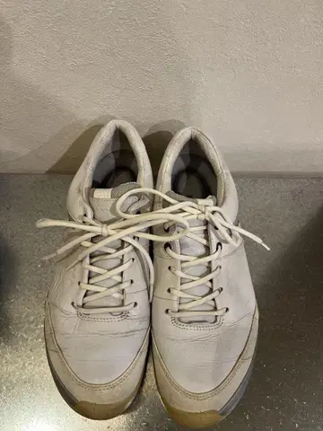 ecco 골프화