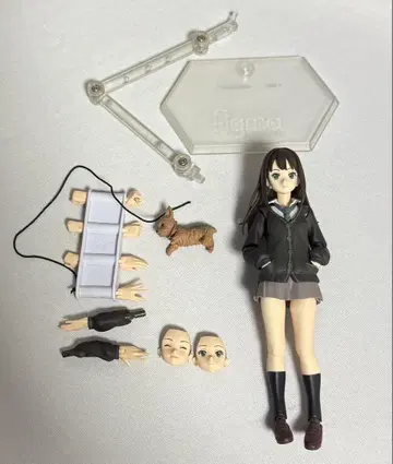 figma 시부야 린