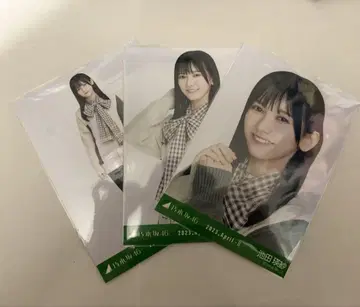 이케다 에레나 브로마이드 트래디셔널 컴프