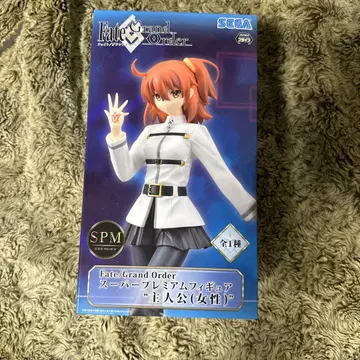 Fate/Grand Order 슈퍼 프리미엄 피규어 주인공 (여성)