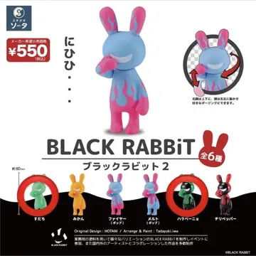 블랙 토끼 2 BLACK RABBIT 2