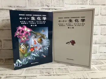 호튼 생화학 제5판