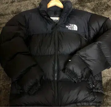 THE NORTH FACE 1996 레트로 눕시 다운 자켓