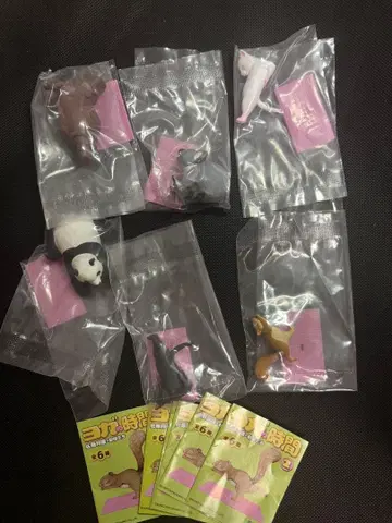 사토 쿠니오 의 동물들 요가 시간 2 전6종