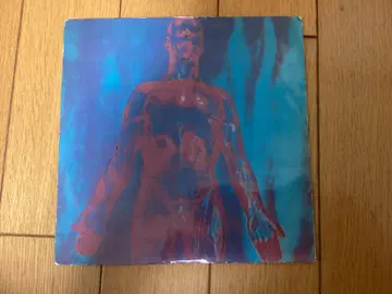너바나 Dive Sliver 7inch nirvana 레코드 레어