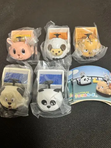 풀백으로 달린다!! 애니멀 카트