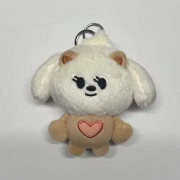 TXT 뿔바투 범규 발굿 초기 초창기 키링