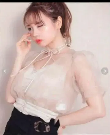 시스루 퍼프 슬리브 상의 앤 마리