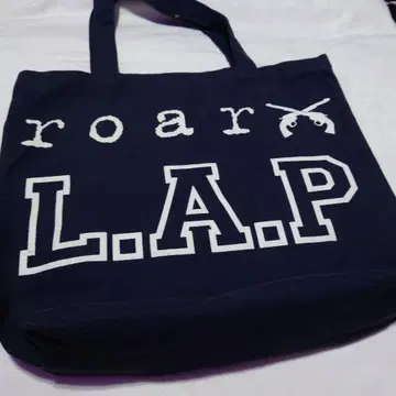 roar 토트백