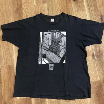 1980's 'STUART KATT' tshirt 고양이 관련 이야기