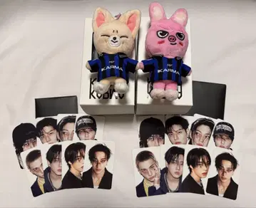StrayKids 스키즈 SKZOO 봉제 인형 세트 포토 카드 포함