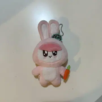 SEVENTEEN 봉봉이 봉제 인형