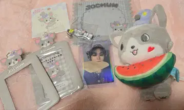 JO1 츠루보 시온 모음