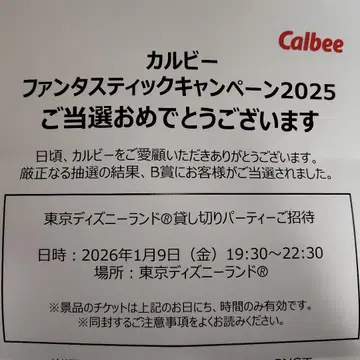 도쿄 디즈니랜드 대관 2인분