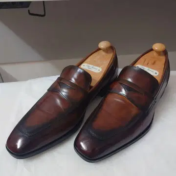 첸토페리나 브라운 로퍼