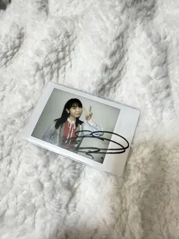 쿠루스 린 폴라로이드