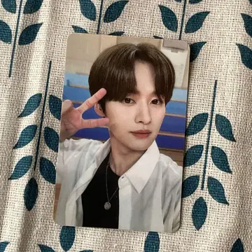 StrayKids SKZ apple music in 리노 트레이딩 카드