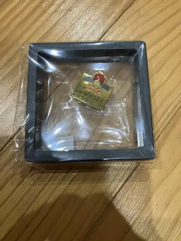 만박 바티칸 핀 배지 새상품